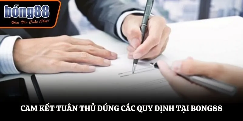 Cam kết tuân thủ đúng các quy định tại BONG88