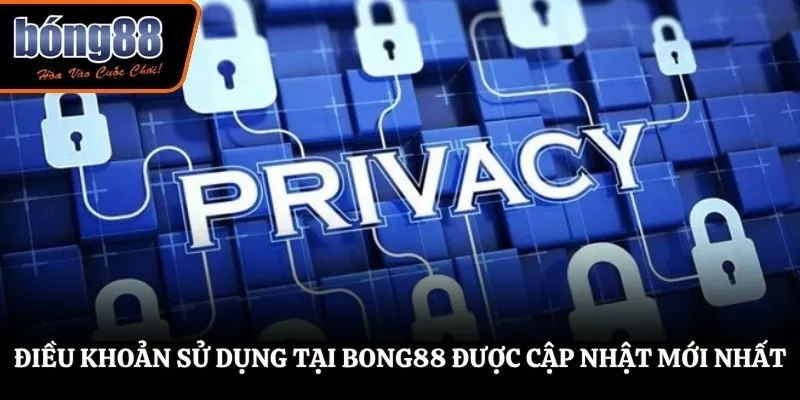 Điều Khoản Sử Dụng BONG88 - Các Quy Định Quan Trọng