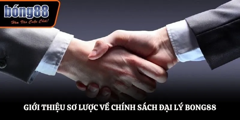 Giới thiệu sơ lược về chính sách đại lý BONG88
