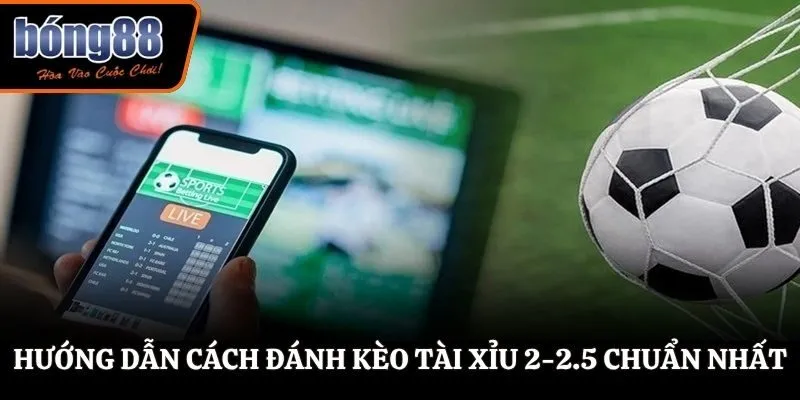 Hướng dẫn cách đánh kèo tài xỉu 2-2.5 chuẩn nhất