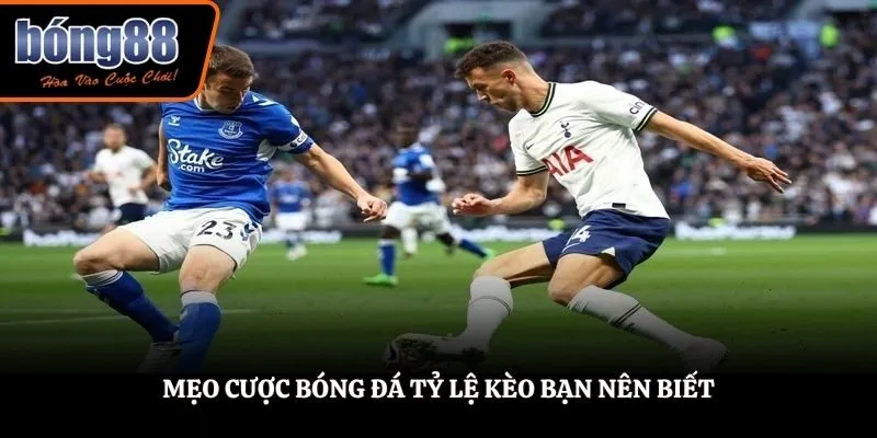 Mẹo cược bóng đá tỷ lệ kèo bạn nên biết