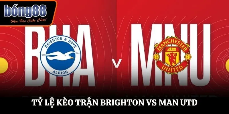 Soi kèo Brighton vs Man Utd - bảng tỷ lệ cược
