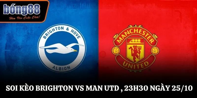 2025. Cùng chuyên gia soi chi tiết cặp trận qua bài viết bên dưới. Soi kèo Brighton vs Man Utd , 23h30 ngày 25/10/2025 - Ngoại Hạng Anh