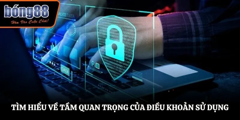 Tìm hiểu về tầm quan trọng của điều khoản sử dụng